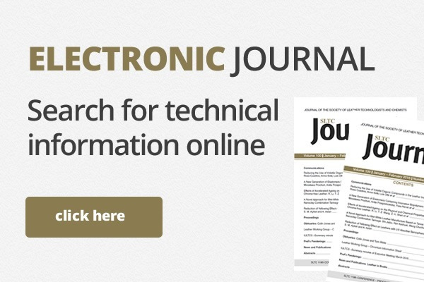 Electronic Journal