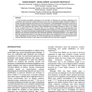 Examination of Bacterial and Archaeal Populations in Salt, Salted and Soaked Hide and Soak Liquors via Fluorescent In Situ Hybridization