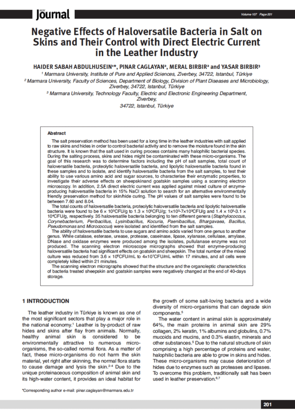 Negative Effects of Haloversatile Bacteria in Salt on Skins and Their Control with Direct Electric Current in the Leather Industry