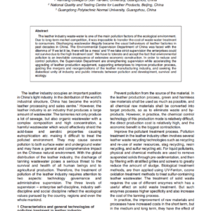 Chinese Understanding of the Ecological Environment Values of the Leather Industry