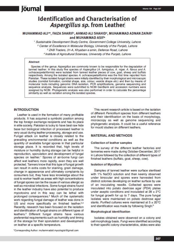 Identification and Characterisation of Aspergillus sp. from Leather