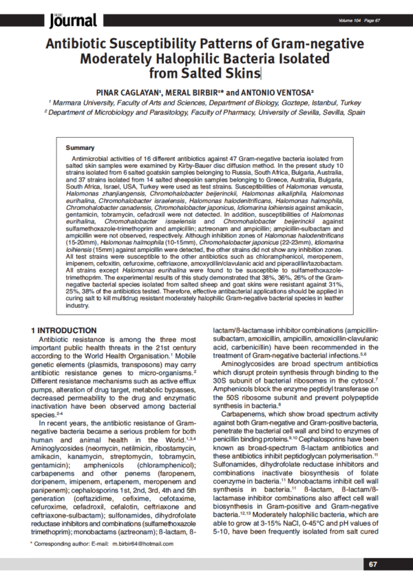 Antibiotic Susceptibility Patterns of Gram-negative Moderately Halophilic Bacteria Isolated from Salted Skins