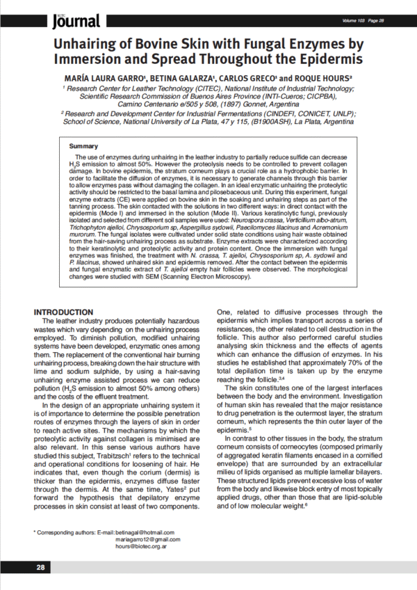 Unhairing of Bovine Skin with Fungal Enzymes by Immersion and Spread Throughout the Epidermis
