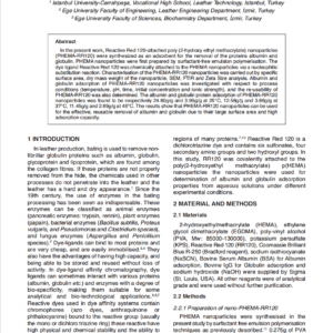A New Approach for Bating: Reactive Red 120 Dye Attached Poly (Hema) Nanoparticles