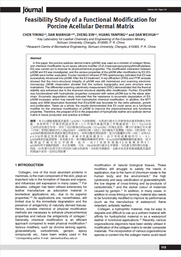 Feasibility Study of a Functional Modification for Porcine Acellular Dermal Matrix
