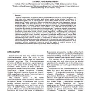 Examination of Catabolic Activities of Enterobacteriaceae Isolated from Soaked Sheep Skins and Cattle Hides