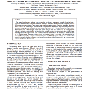 The Hydrolytic Activities of Two Fungal Species Isolated from Historical Quranic Parchment Manuscript