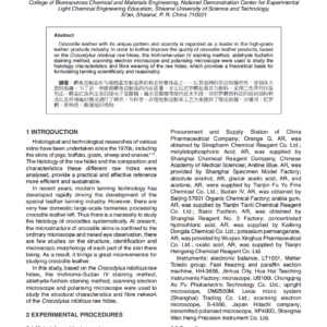 The Microstructure of Raw Hides of Crocodylus niloticus