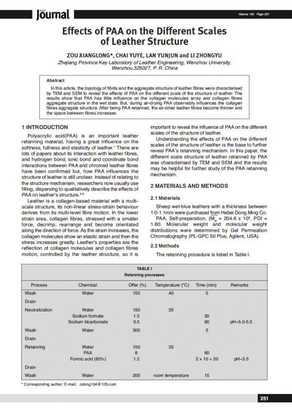 Effects of PAA on the Different Scales of Leather Structure
