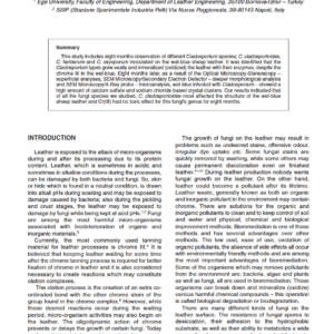 Biodegradation of Wet-blue Leather with Different Cladosporium Species