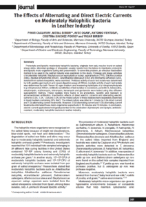 The Effects of Alternating and Direct Electric Currents on Moderately Halophilic Bacteria in Leather Industry