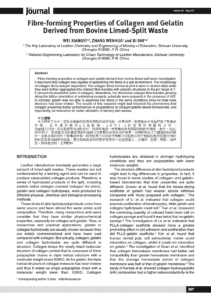 Fibre-forming Properties of Collagen and Gelatin Derived from Bovine Limed-Split Waste
