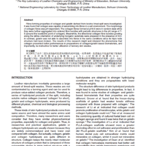 Fibre-forming Properties of Collagen and Gelatin Derived from Bovine Limed-Split Waste
