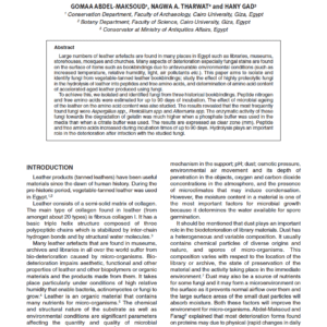 The Role of Fungi Isolated from Historical Vegetable-Tanned Leather on the Degradation of Peptides and Amino Acids