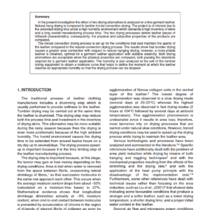 A New Drying Application for Garment Leather