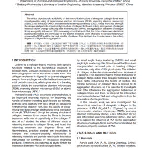 Effects of Polyacrylic Acid on the Structure of Collagen Fibre