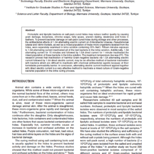 Applying Electric Current to Inactivate Gram-Negative Bacteria Isolated from Salt-Packed-Cured Hides