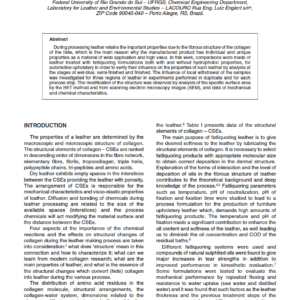 Analysis of Structure and Properties of Hydrophobic and Non-Hydrophobic Fatliquored Leather