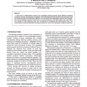 Mathematical Modelling of a Vegetable Tanning Process