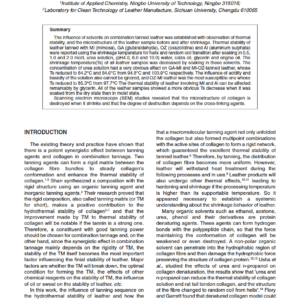 The Influence of Solvents on Hydrothermal Stability and Microstructure of Combination Tannage
