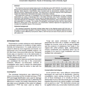 Investigation Techniques and Conservation Methods for a Historical Parchment Document