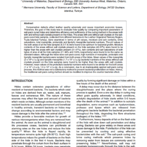Examination of Efficiency and Sufficiency of Salt-Pack Curing Method
