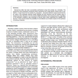 Possibility of Synthesis of Nanoporous Silica Using Hide Powder as a Template