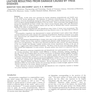 Bovine Cutaneous Streptothricosis and Demodicosis: Studies on the Defects and Economic Losses on Crust Leather Resulting from Damage Caused by These Diseases