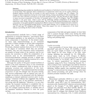 Changes to Bovine Hides During Leather Processing