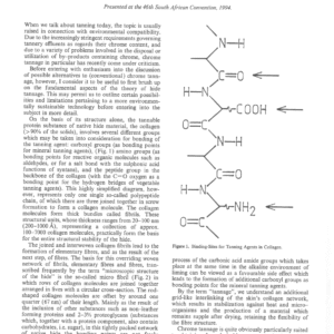 Chrome Tannage from the Viewpoint of Ecology