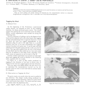 Grain Strain in Sheepskins Produced during Flaying: Part 2