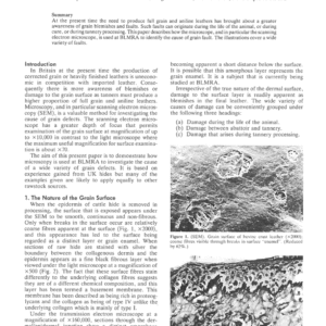 Microscopy of Grain Defects of Bovine Leather