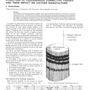Newer Developments in the Chemistry and Structure of Collagenous Connective Tissues and Their Impact on Leather Manufacture