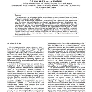 Types and Frequency of Isolation of Bacteria Affecting Leather Surfaces from Small Nigerian Ruminant Dermatoses