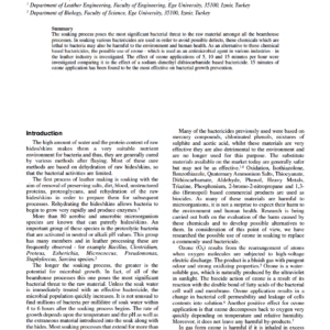 Ozone As A Biocide In Soaking