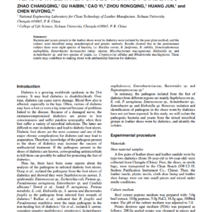 Isolation And Identification Of Bacteria And Yeasts In Leather Shoes Worn By Diabetics