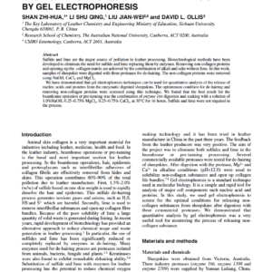 Lime-Free Removal Of Non-Collagen Proteins From Sheepskins: Quantitative Analysis By Gel Electrophoresis