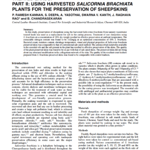Phytoremediation Of Tannery Wastewater Treated Lands. Part II: Using Harvested Salicornia Brachiata Plants For The Preservation Of Sheepskins