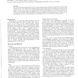 Studies of the Cause of the Vertical Fibre Hide Structure in Hereford Cattle