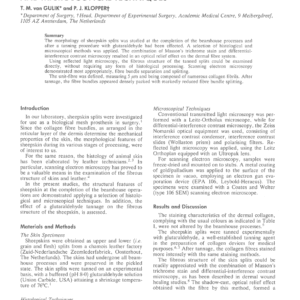 The Structural Features of Processed Sheepskin Splits, As Viewed in Conjunction with Various Histological and Microscopical Techniques