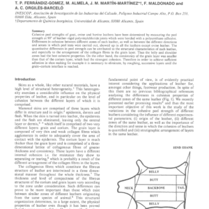 Effect of Skin Type and Direction of Applied Force on Peel Strength of Skin Layers