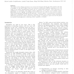 Natural and Artificial Ageing of Sheepskin Collagen and its Importance in Leather Manufacture