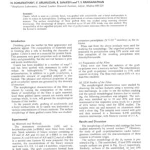 SEM Studies on the Morphology of Grafted Casein Films