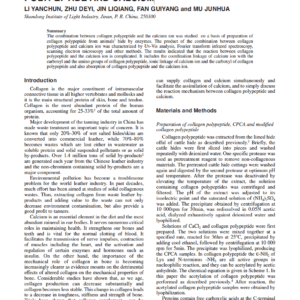 The Combination Between Collagen Polypeptide And Calcium