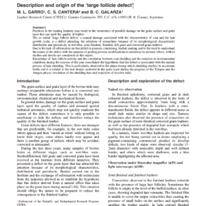 The Activity Of The Hair Follicle And Its Relation To The Defects Of The Grain Layer Description And Origin Of The ‘Large Follicle Defect’