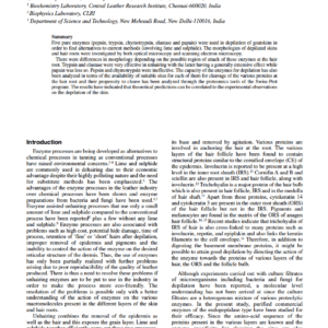 Depilation Of Skins By Pure Enzymes