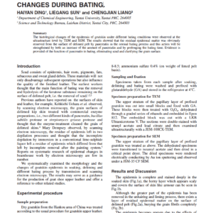 Action Of Pancreatin On Residual Epidermis Of Goatskin - Examination Via Histological Changes During Bating