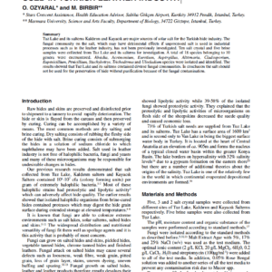 Examination Of The Fungal Community On Salt Used In Turkish Leather Industry