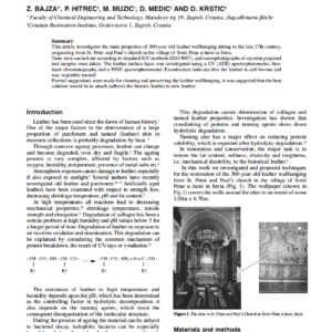 Experimental Studies In Restoration And Conservation Of Historical Leather