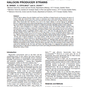 Prevention Of Halophilic Microbial Damage On Brine Cured Hides By Extremely Halophilic Halocin Producer Strains